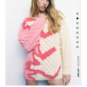 Zara sweater